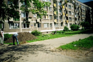 Rok 2003 .\\"Trawnikowe