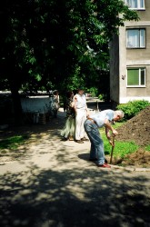 Rok 2003 .\\"Trawnikowe
