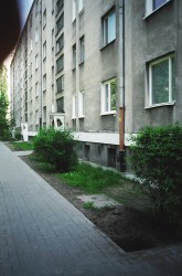 Rok 2003 .\\"Trawnikowe