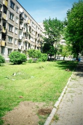 Rok 2003 .\\"Trawnikowe