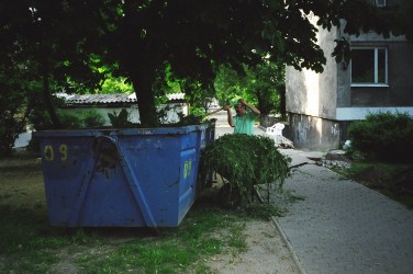 Rok 2003 .\\"Trawnikowe