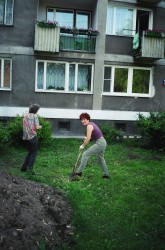 Rok 2003 .\\"Trawnikowe