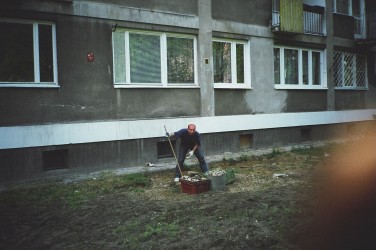 Rok 2003 .\\"Trawnikowe