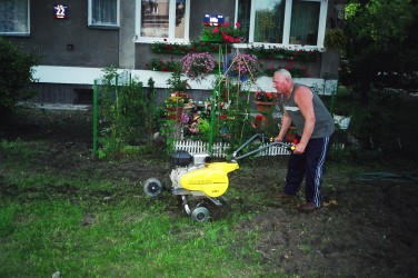 Rok 2003 .\\"Trawnikowe