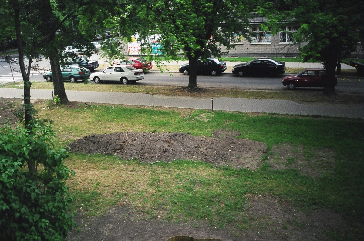 Rok 2003 .\\"Trawnikowe 