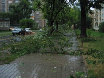 Burza na Miłej. Połamane