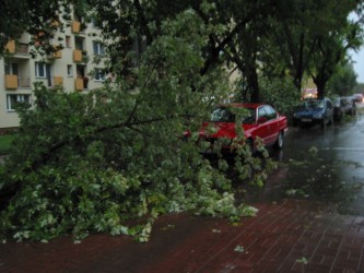 Burza na Miłej. Połamane