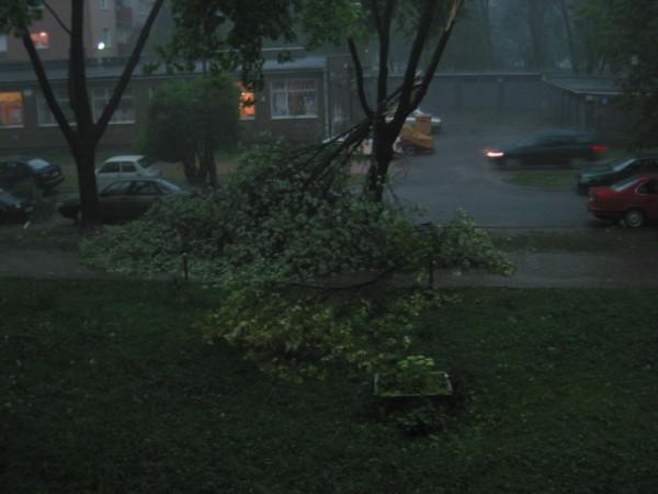 <strong>Miła 22</strong>, 2005