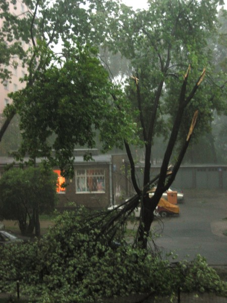 <strong>Miła 22</strong>, 2005