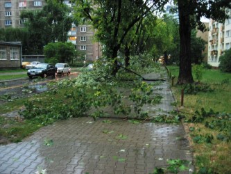 Burza na Miłej. Połamane