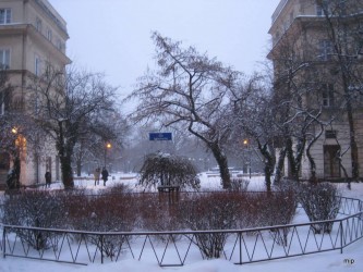 3229.jpg