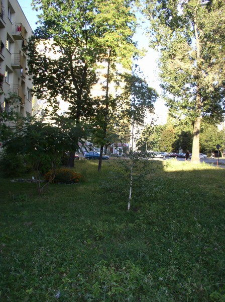 <strong>Miła 22</strong>, 2005
