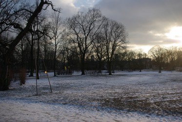 Ogród Krasińskich w zimę