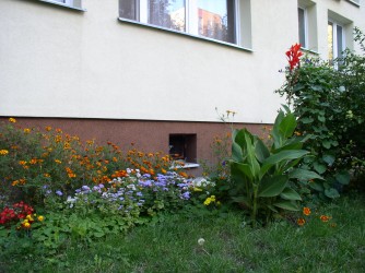 A to ogródek Pani Zosi z 4