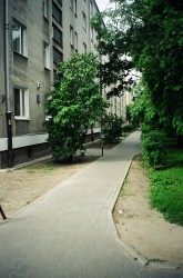 Rok 2003 .\\"Trawnikowe