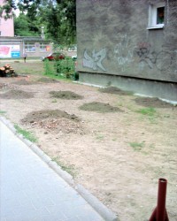 Rok 2000 nowo powstała