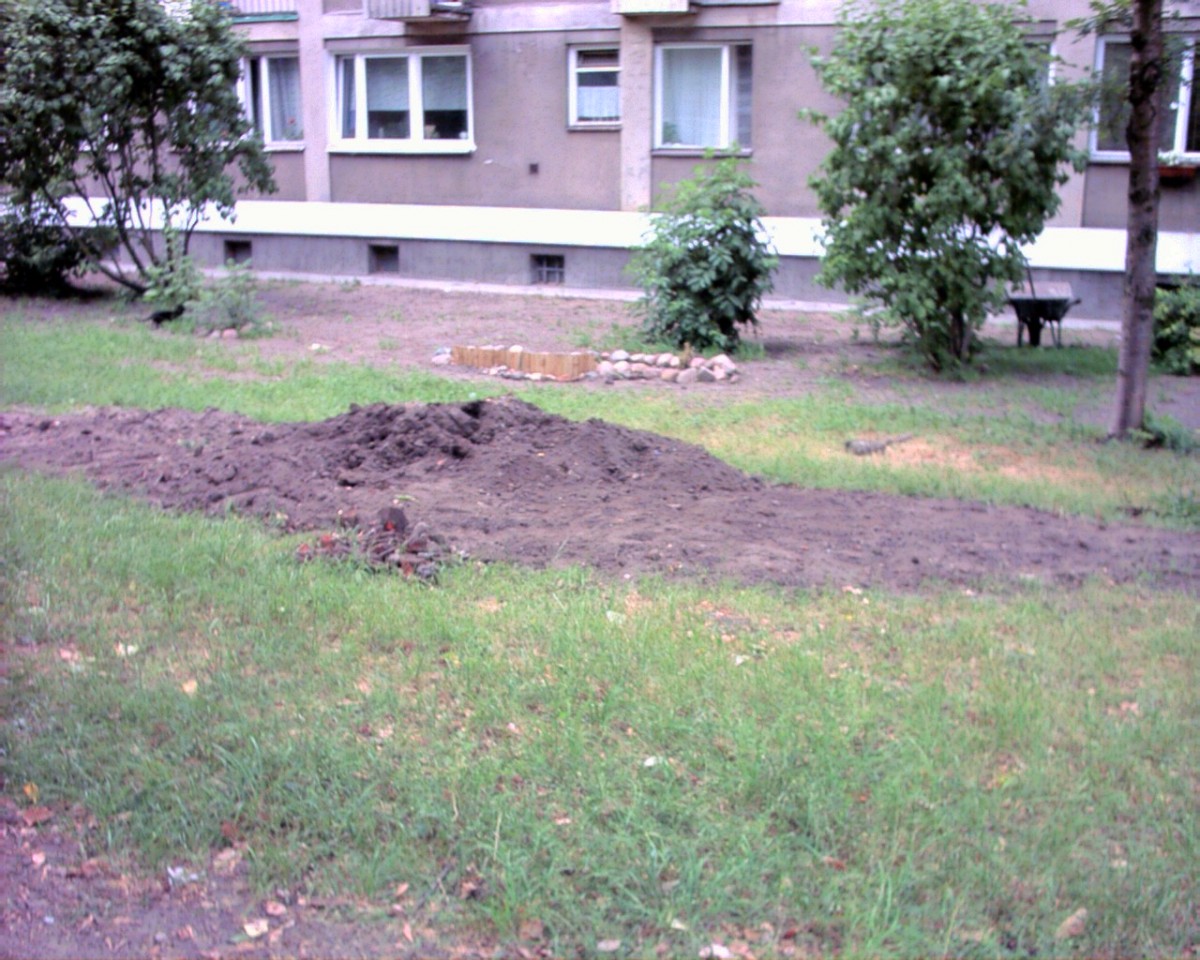 Rok 2000 nowo powstała 
