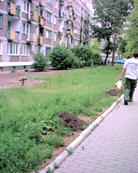 <strong>Miła 22</strong>, 2000