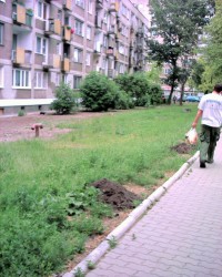 Rok 2000 nowo powstała