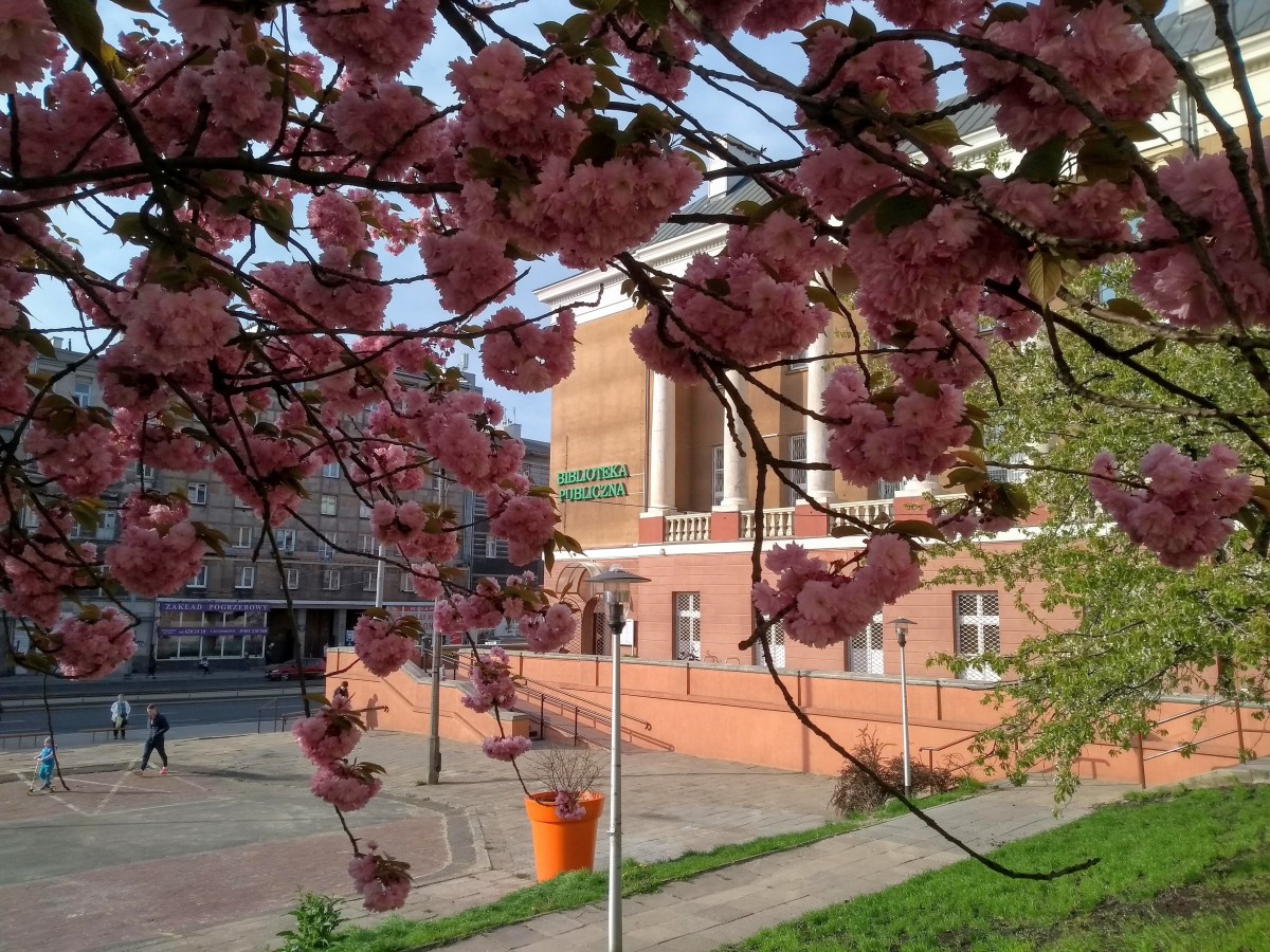 Biblioteka Publiczna 