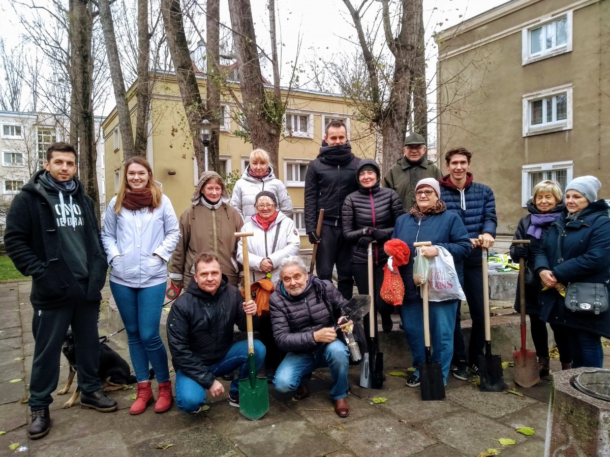 Jesienne sadzenie krokusów 